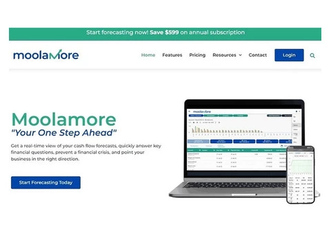Moolamore - Accounting and Forecasting Tool