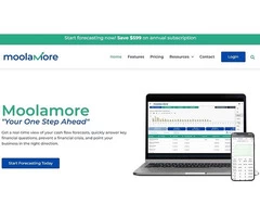 Moolamore - Accounting and Forecasting Tool