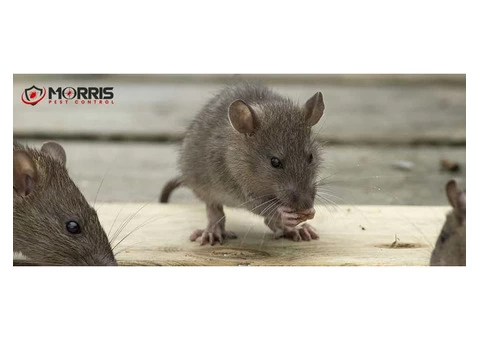 RIP Rodent Control Sydney - 1/3