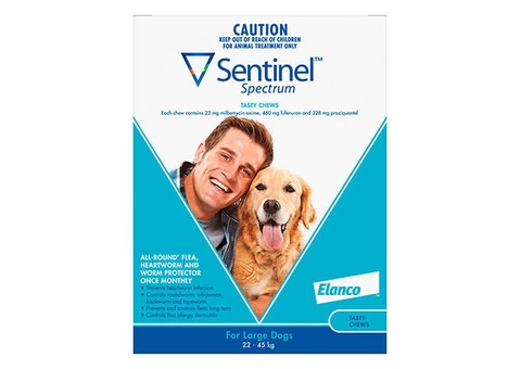 Buy Sentinel Spectrum Tasty Chews For Large Dogs 22 To 45kg (Blue) - Free Shipping