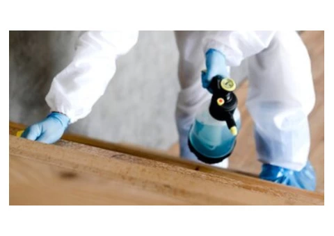 Remember The Pests Can Cause Havoc If Unchecked!