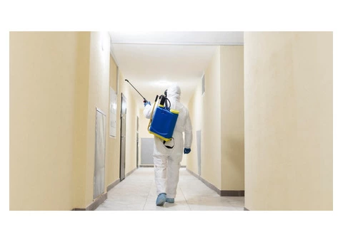 Remember The Pests Can Cause Havoc If Unchecked! - 2/2