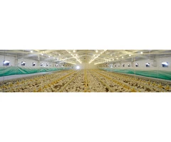 Are you searching for fresh and frozen poultry supplier in Australia?