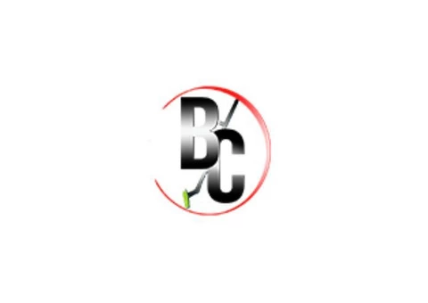 Reliable Home & Office Cleaners in Albert Park