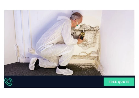 Pest Control Coomera