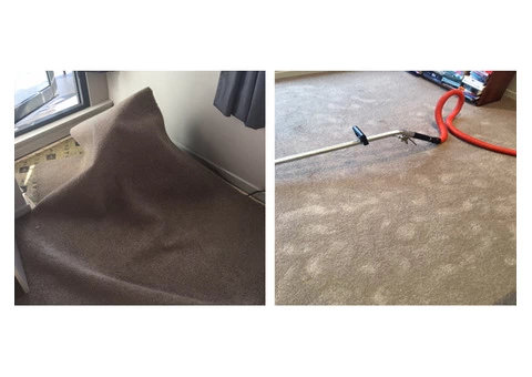 Water Damage Carpet Cleaning Services - 1/5