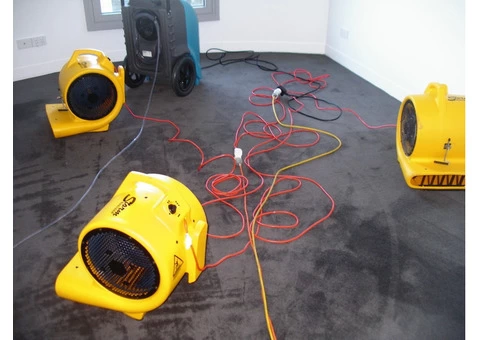 Water Damage Carpet Cleaning Services - 3/5