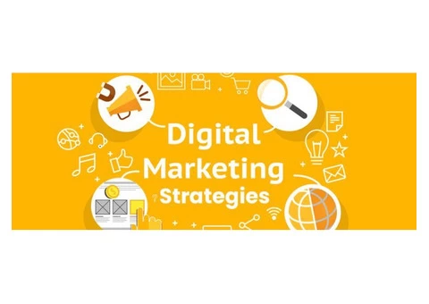 Importance of Integrating Sustainability Into Digital Marketing in Australia