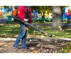 Garden Design Services: Transform Your Outdoor Space!