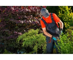 Attention Homeowners: Transform Your Lawn Today!