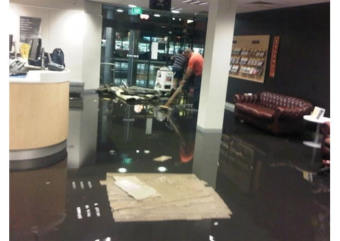 Melbourne's Trusted Experts Water Damage Carpet Restoration