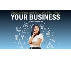 One Moola, More Trees: Moolamore's Approach to Leading a Sustainable Mission