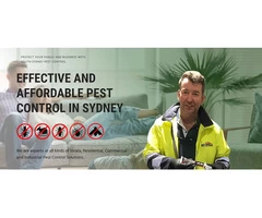 Pest Control Randwick