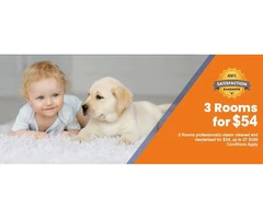 Top Carpet Cleaning Service in Rowville