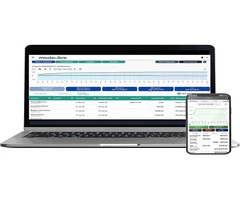 Business Success Meets Environmental Responsibility: One Moola, More Trees' Long-Term Mission