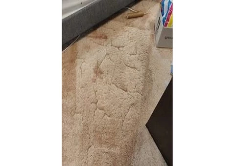 Are You Looking for Carpet Dry Cleaning in Melbourne?
