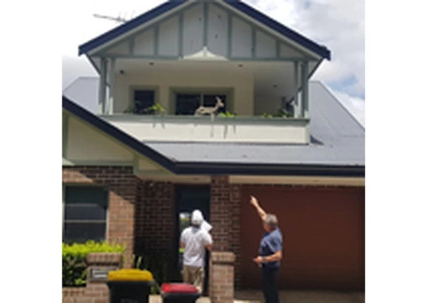 Prime Colour Painting - 4/4