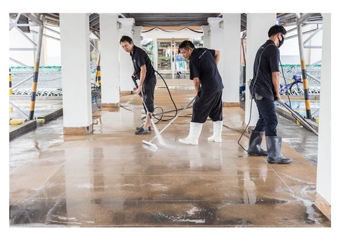 Revive Your Floors with Professional Tile and Grout Cleaning Services