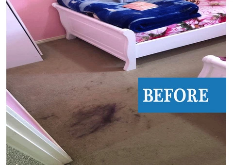 Revitalize Your Carpets with Top-notch Professional Cleaning in Brisbane