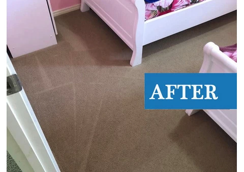 Revitalize Your Carpets with Top-notch Professional Cleaning in Brisbane - 2/2