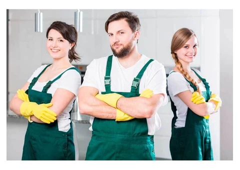 Sunshine Cleaners: Your Go-To Cleaning Experts in Brisbane - 2/2