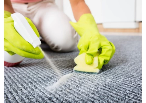 DeVere Provide carpet stain removal in sunshine coast