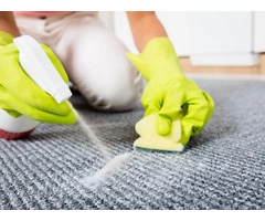 DeVere Provide carpet stain removal in sunshine coast