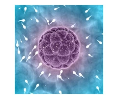 Australian concept  Infertility Medical Clinic