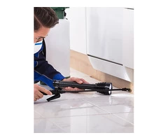 Know Some Standard Information on Commercial Pest Control in Sydney