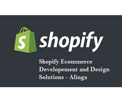 Shopify website developer: Make a story of your digital success