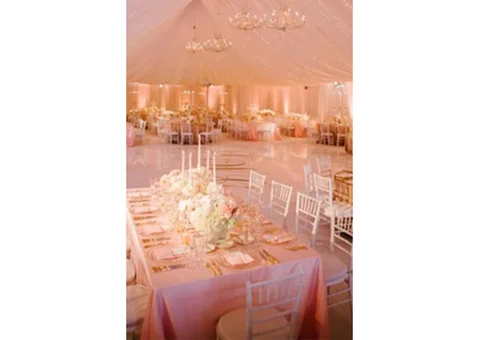 Mux Events is  Best Event equipment Hire Company - 2/6