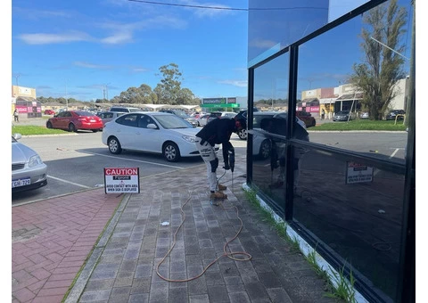 Affordable Pest Control: Keeping Homes and Businesses Pest-Free - 3/4