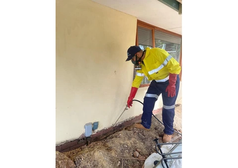 Affordable Pest Control: Keeping Homes and Businesses Pest-Free - 4/4