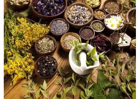 Best Naturopathy & Homeopathy Consultant in Sydney