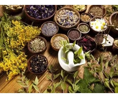 Best Naturopathy & Homeopathy Consultant in Sydney