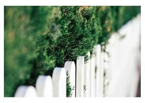 Transform Your Space: Expert Fence Painting Services