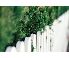 Transform Your Space: Expert Fence Painting Services