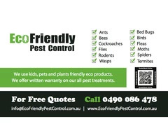 Pest Control Aramadale and Termite Treatment Aramadale