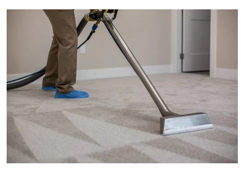 Carpet Cleaning Services
