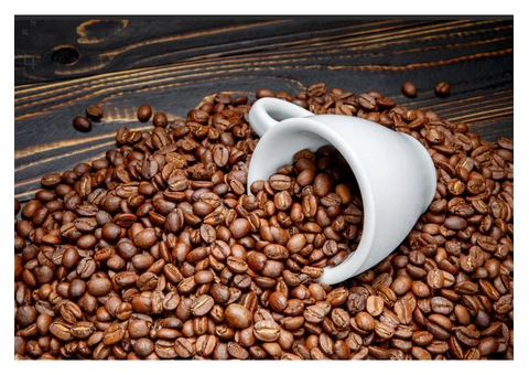 Awaken Your Senses with Handcrafted Seeds Coffee