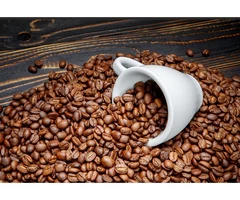 Awaken Your Senses with Handcrafted Seeds Coffee