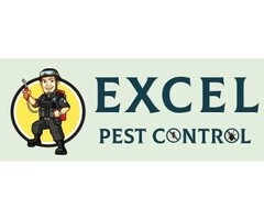 Get Affordable Rat Control and Removal Services in Melbourne