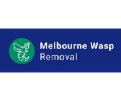 Professional Wasp Removal Services in Melbourne