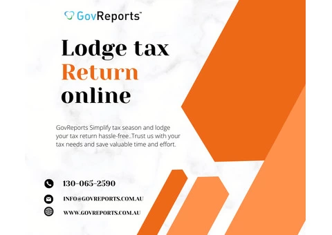 Lodge tax return software