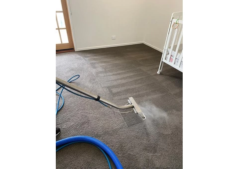 Professional Carpet Cleaning In Ferny Grove By Expert Cleaners - 2/2