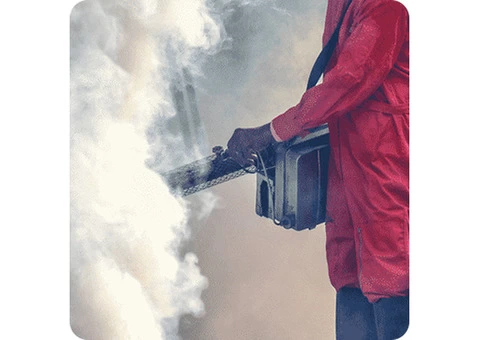 Pest Technician - Effective Pest Control Services in Melbourne - 2/3