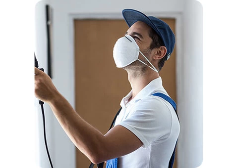 Pest Technician - Effective Pest Control Services in Melbourne - 3/3