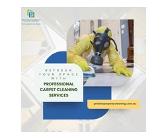 Refresh Your Space with Professional Carpet Cleaning Services