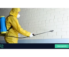 Pest Control Hope Island