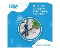 Experience Exceptional Carpet Cleaning in Perth with Stormfront Cleaning